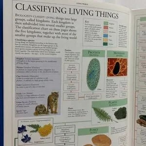 Art | Dk Millennium Family Encyclopedia Volume 5 Hardcover Book